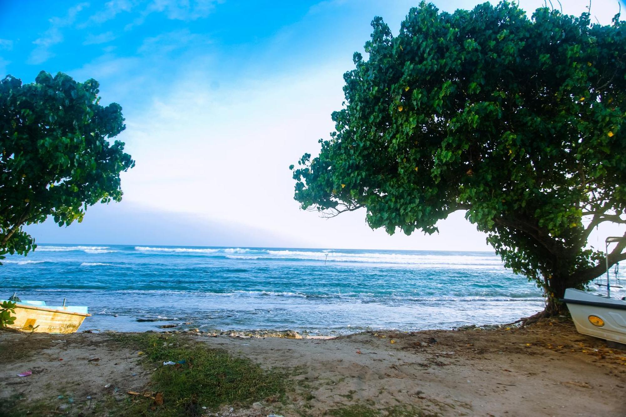 Mirissa Turtle Point Guest Hotel Exterior foto