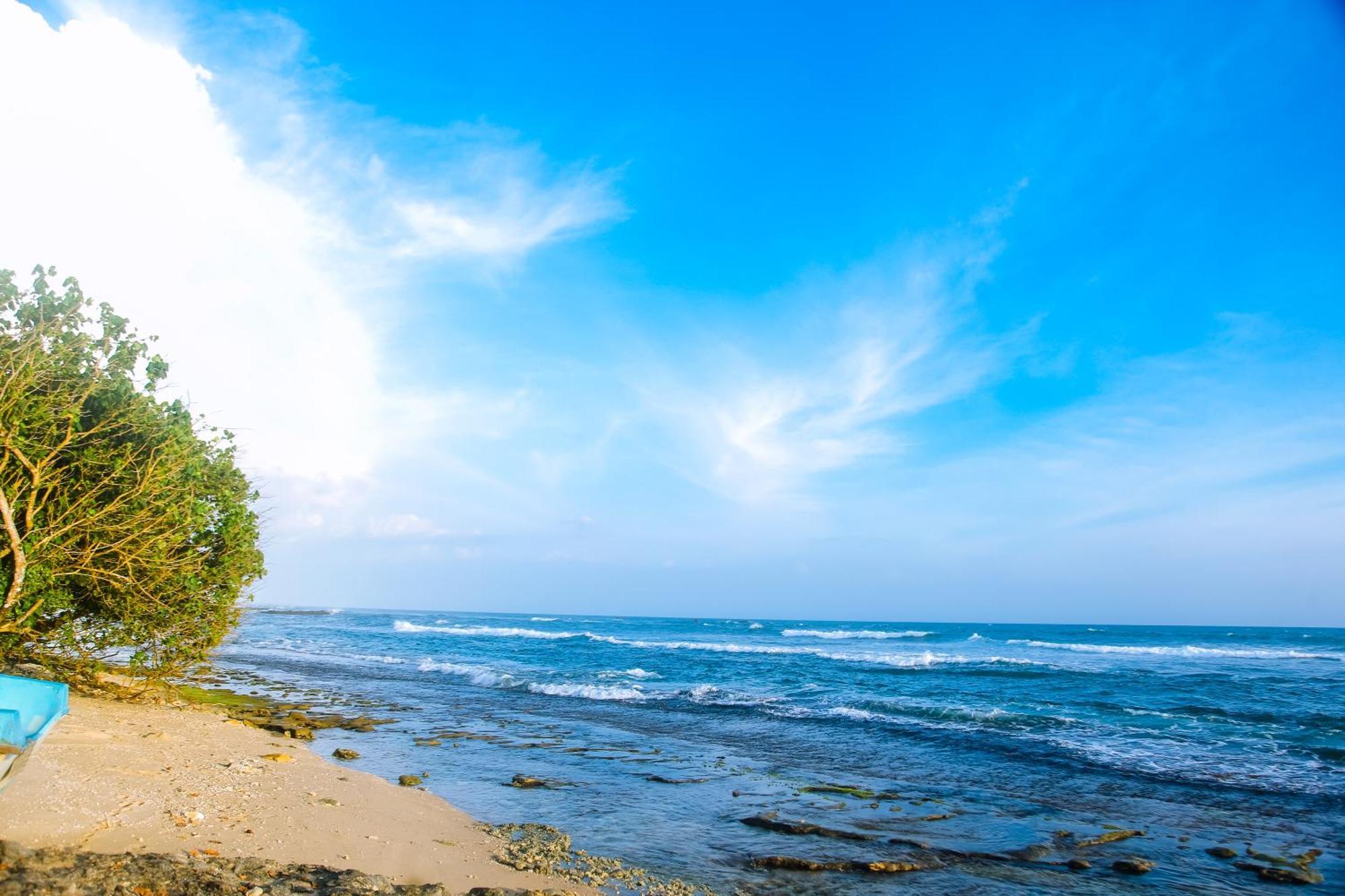 Mirissa Turtle Point Guest Hotel Exterior foto